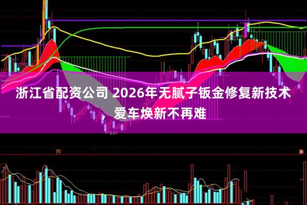 浙江省配资公司 2026年无腻子钣金修复新技术，爱车焕新不再难